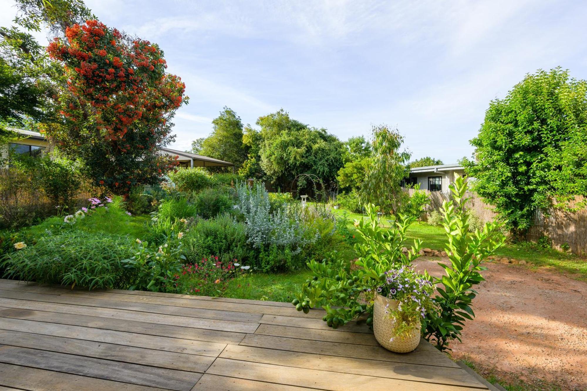 The Secret Garden - Alpine Retreat Mount Beauty Exterior photo